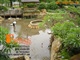 用于大型景观水处理的富甲天下生态基